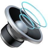 Voice